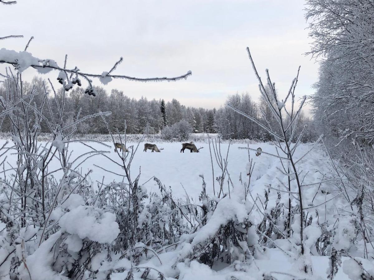 Villa Sandra Rovaniemi Eksteriør billede